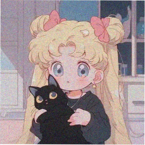 读者 浅眠的猫 的头像